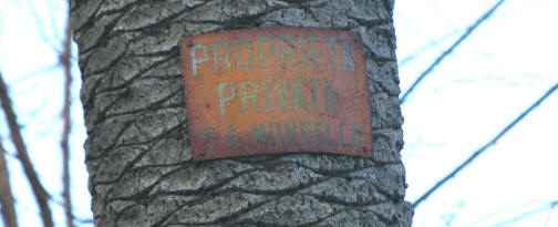 Le scritte "Proprietà Privata Soc. Mondello" sulle palme a   Piazza Valdesi - 