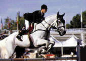 cavallo.jpg (10258 byte)